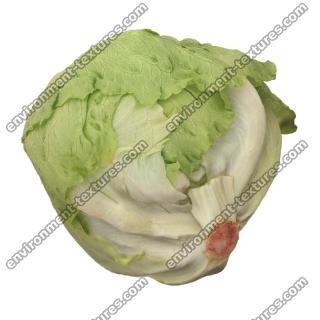 Lettuce 3D Scan Retopo